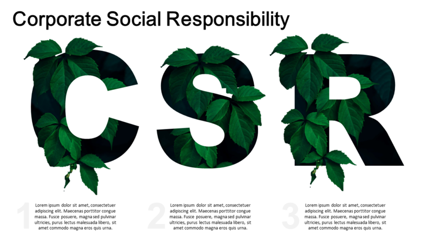 CSR PowerPoint设计
